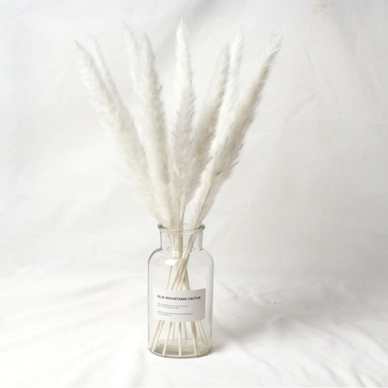 15pcs Natural Dried Pampas Grass Reed Phragmites Dry Flower Plants