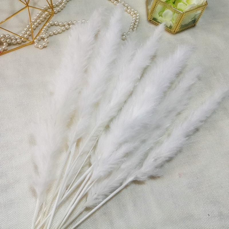 15pcs Natural Dried Pampas Grass Reed Phragmites Dry Flower Plants